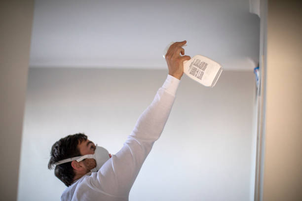 Best Commercial Mold Removal  in Danville, IN