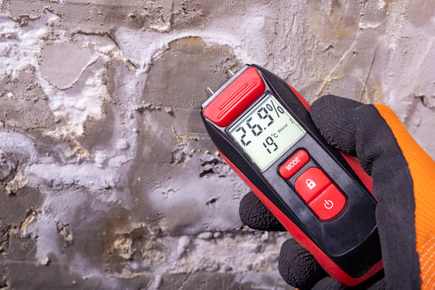 Best Emergency Mold Removal  in Danville, IN