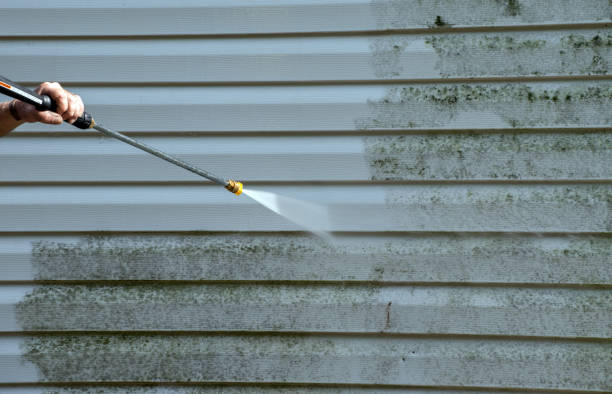 Best Mold Damage Repair  in Danville, IN