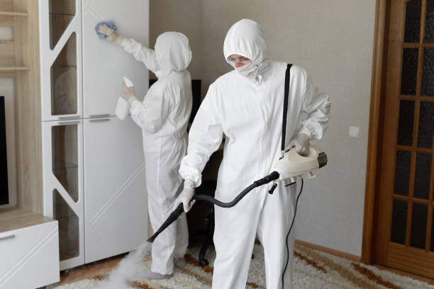 Attic Mold Removal in Danville, IN