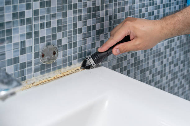 Best Local Mold Removal Service  in Danville, IN
