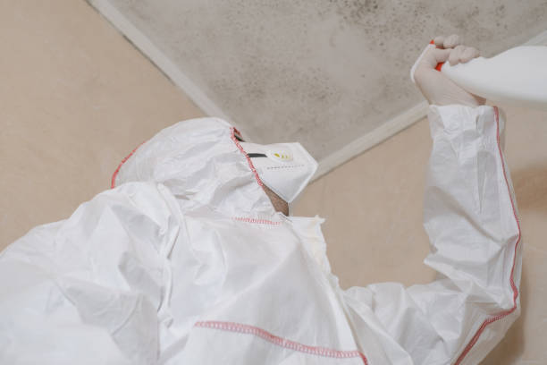 Best Mold Testing  in Danville, IN