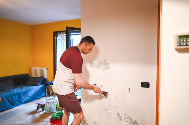 Trusted Danville, IN Mold Removal Experts