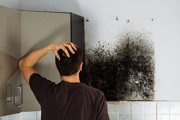 Best Crawl Space Mold Removal  in Danville, IN